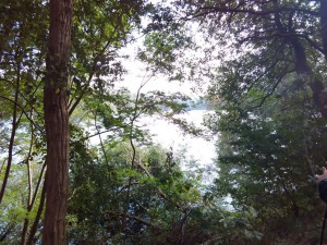 IMG-20161018-WA0004